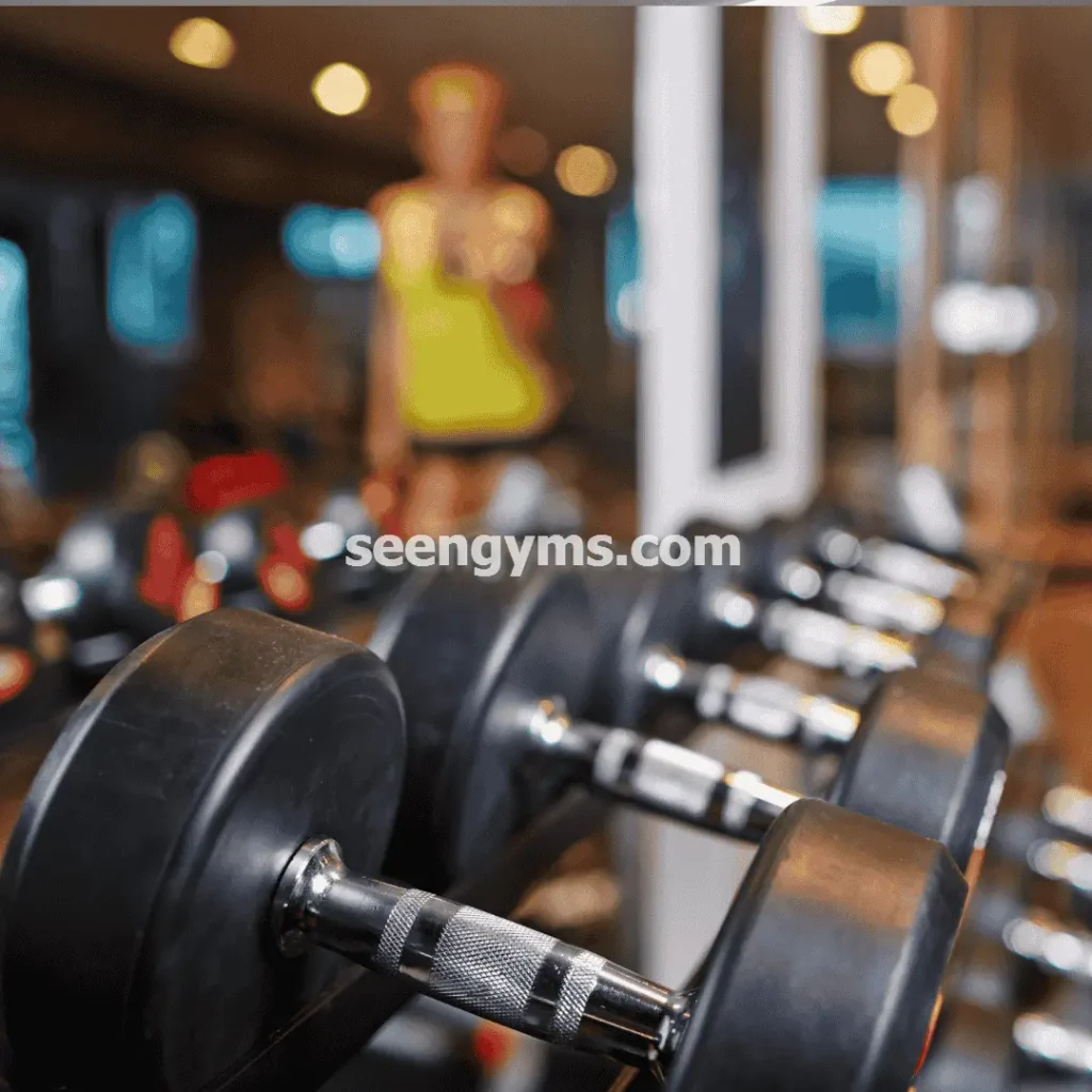سین جیم خرید و فروش تجهیزات ورزشی فیتنس در مشهد